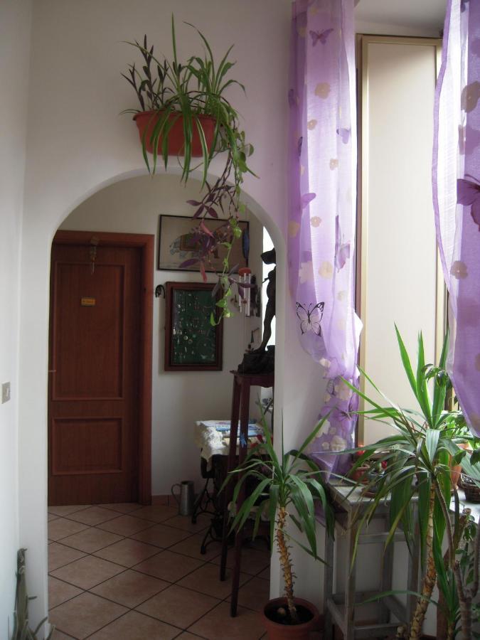 B&B Sant'Elmo 那不勒斯 外观 照片